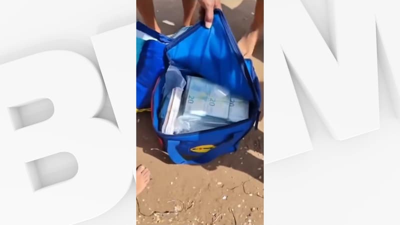 Des sacs Lidl remplis de 650.000 euros en petites coupures s'échouent sur une plage en Sicile