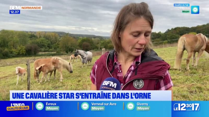 Orne: rencontre avec Lisbeth Lumpp, référence mondiale de TREC et aussi vétérinaire dans le Perche