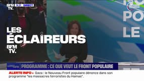 LES ÉCLAIREURS - Ce que prévoit le programme du Nouveau Front populaire