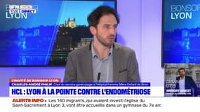 Lyon: trois centres dédiés à la prise en charge de l'endométriose