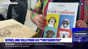 Istres pionnière dans l'accueil des chiens de compagnie