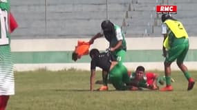 En Bolivie, des abeilles sèment la panique en plein match de football