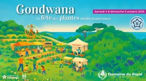  21e édition de Gondwana, la Fête des Plantes Méditerranéennes