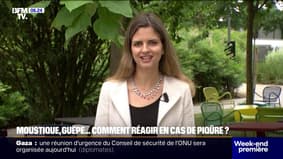 Moustiques, guêpes, abeilles ... comment réagir en cas de morsure? 