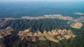 Vue aérienne de la déforestation dans l'Etat de Para, au nord du Brésil, le 9 août 2013. (Photo d'illustration)