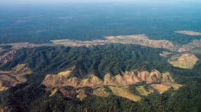 Vue aérienne de la déforestation dans l'Etat de Para, au nord du Brésil, le 9 août 2013. (Photo d'illustration)