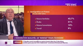 Lechypre d’affaires : L'immigration qualifiée, un "bienfait" pour l'économie - 10/11