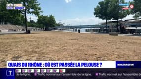 Sécheresse dans le Rhône: la pelouse en mauvais état sur les quais