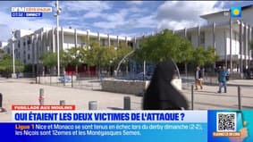 FUSILLADE AUX MOULINS LE POINT SUR L'ENQUÊTE 