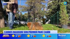 Cannes inagure son premier parc canin