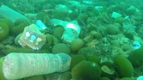 Le plongeur Laurent Lombard nettoie les fonds de Méditerranée.