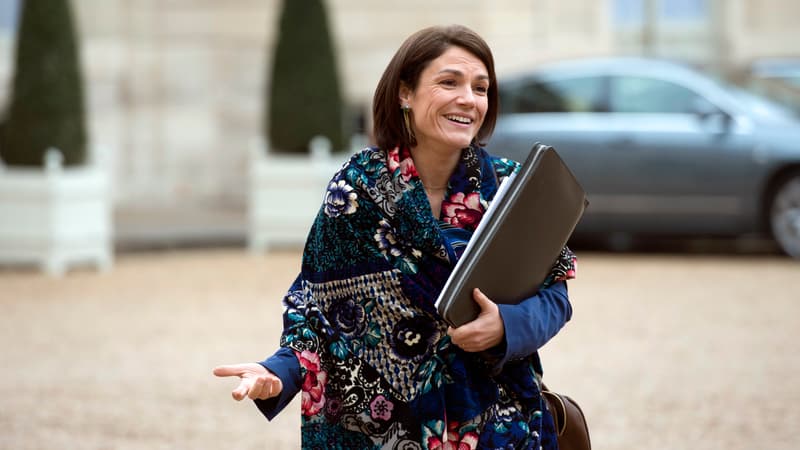 Chantal Jouanno à l'Elysée en novembre 2014.