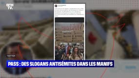 Slogans antisémites dans les manifs: "Il n'y a pas de doute sur la signification de cette pancarte", affirme Dominique Sopo
