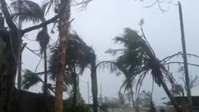 L'archipel du Vanuatu dévasté par le cyclone Pam