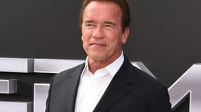 Arnold Schwarzenegger