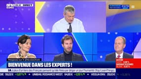 Les Experts : Gouvernement Attal, priorité aux classes moyennes ? - 19/01