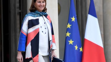 Portée par Ségolène Royal, la programmation pluriannuelle de l'énergie applicable en Guyane est parue du Journal officiel. (image d'illustration)