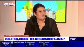 Hauts-de-France: selon Katy Vuylsteker, conseillère régionale pour les écologistes, les mesures prises contre la pollution arrivent "trop tard"