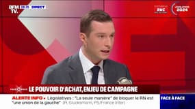Aide médicale de l'État: "Il n'y aura plus la gratuité des soins pour les gens qui viennent dans notre pays" de manière illégale, affirme Jordan Bardella
