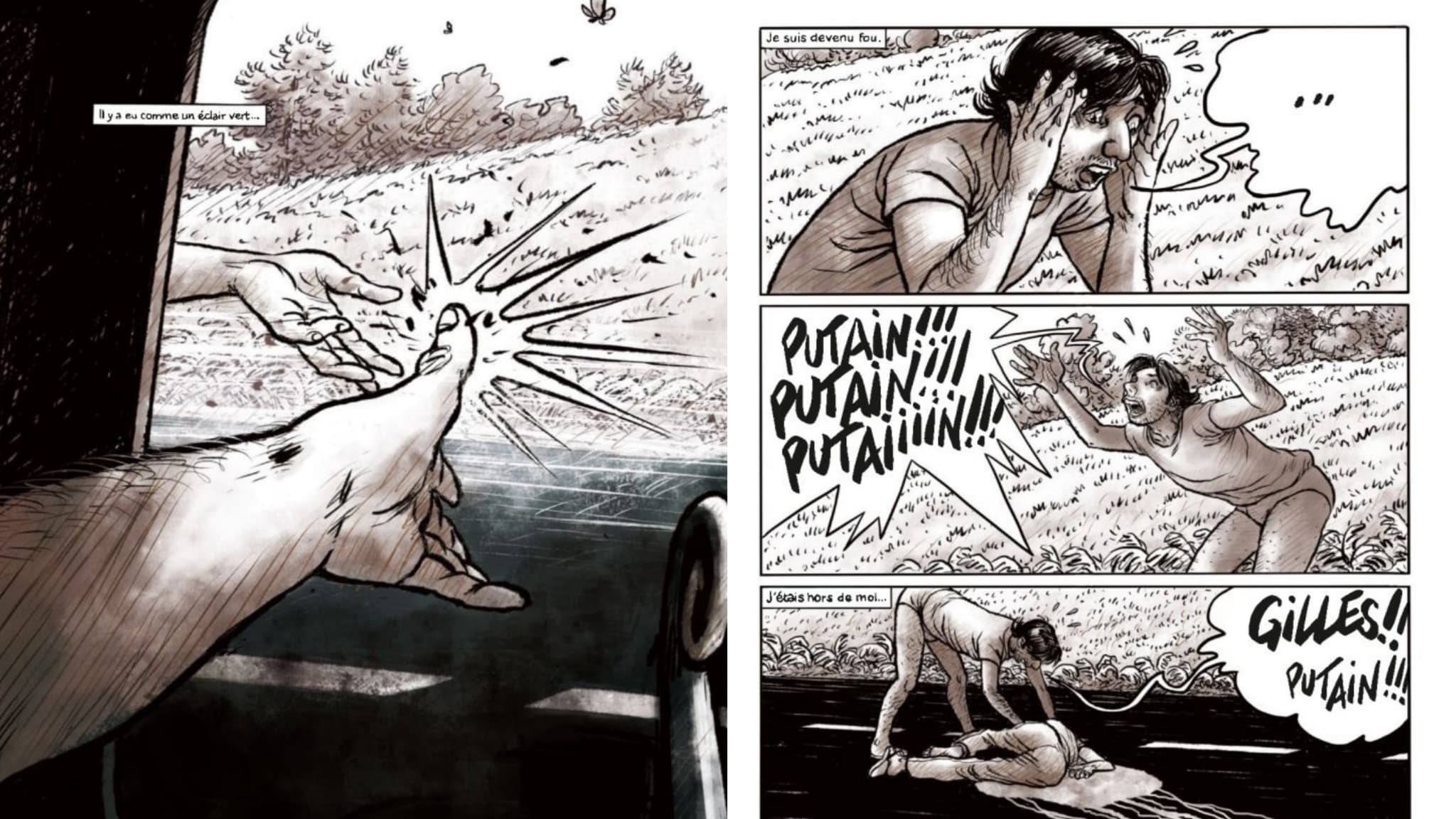 Deux pages de la BD "Le Petit frère" de JeanLouis Tripp