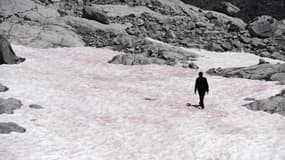 La neige qui recouvre le glacier Presena, dans les Alpes italiennes, a pris une mystérieuse teinte rose.