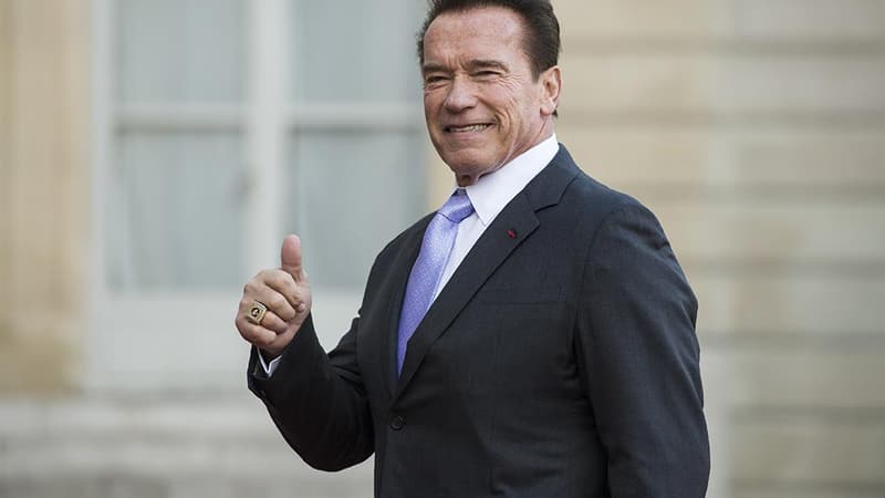 L'ancien acteur américain Arnold Schwarzenegger en 2017 à l'Elysée.