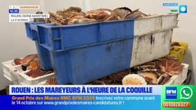Rouen: les mareyeurs à l'heure de la coquille