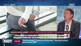 "On est le pays au monde où on consomme le plus par habitant alors qu’on a la répression la plus dur d’Europe": une vingtaine d’élus de tous bords, réclament la légalisation du cannabis