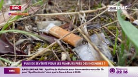 Plusieurs maires de l'Aude veulent verbaliser les automobilistes qui jettent leurs mégots par la fenêtre de leur voiture