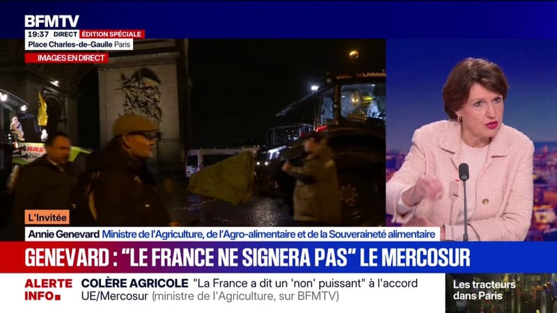 Mercosur: "Rien ne garantit que le Parlement européen valide cet accord", estime la ministre de l'Agriculture