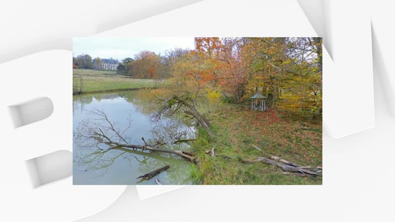 Île-de-France: la région rachète l'une des dernières grandes forêts privées du Val-de-Marne