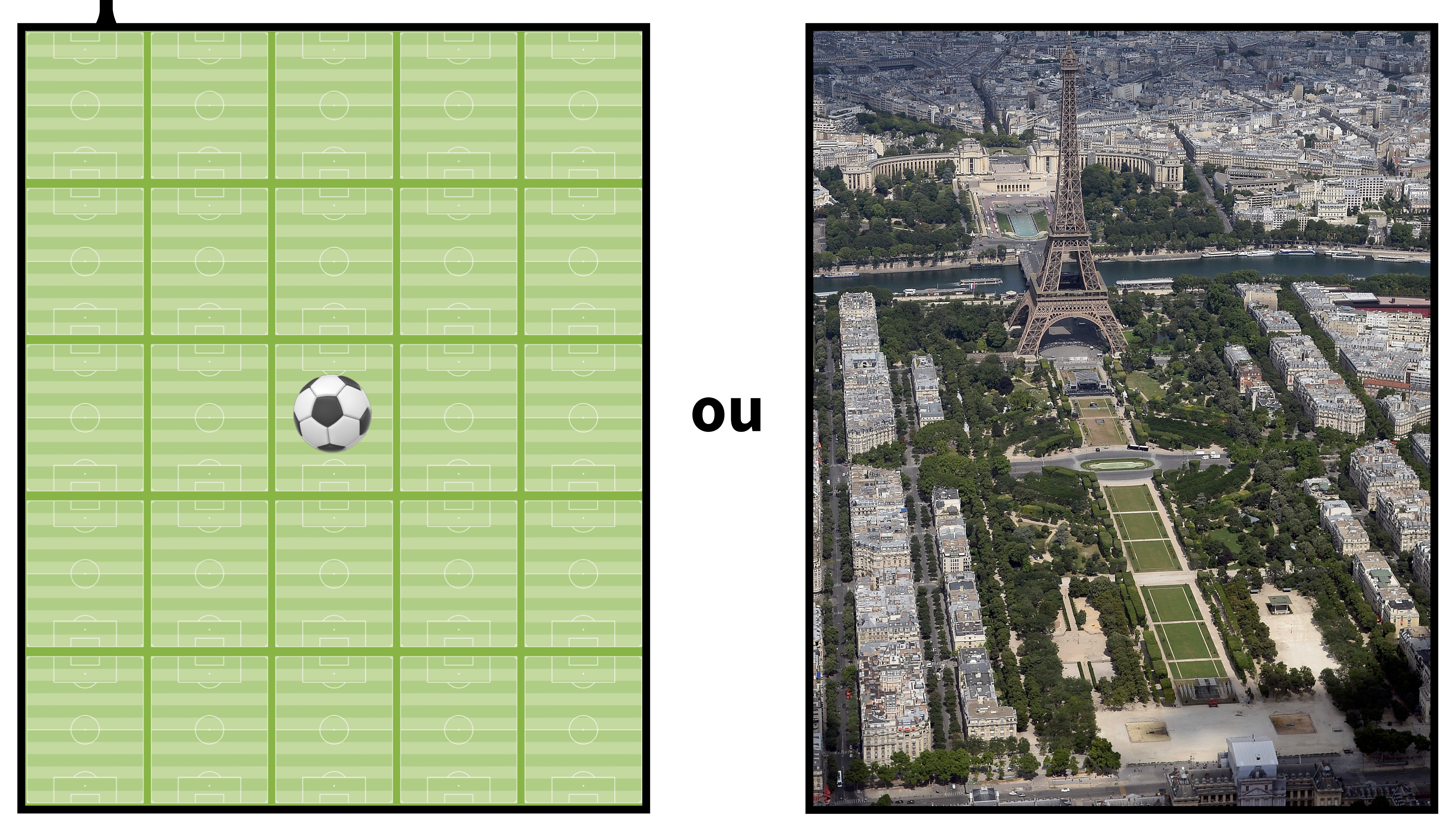 Infographie sur les chênes de la charpente de Notre-Dame de Paris. Infographie sur les chênes de la charpente de Notre-Dame de Paris.