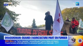 JT du Sud du mercredi 27 novembre