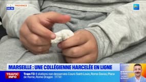 Marseille : une collégienne harcelée en ligne 