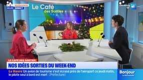Le Café des Sorties: Arbora Lumina, Mont Saint-Michel Les bons plans du week-end
