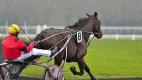 Bold Eagle aborde le légendaire Prix d'Amérique 