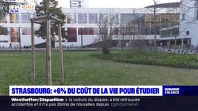 Strasbourg: le coût de la vie grimpe pour les étudiants