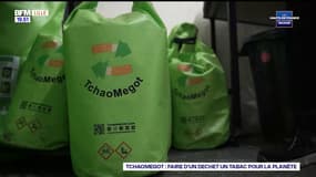 Les Hauts-de-France ont tout pour réussir : TchaoMegot, faire d'un déchet un tabac pour la planète
