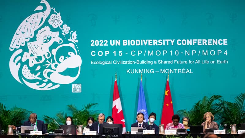 Les COP15 sur la biodiversité s'est conclue lundi 19 décembre 2022 à Montréal