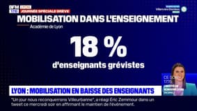Réforme des retraites: 18% des enseignants en grève dans l'académie de Lyon