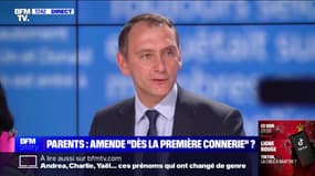 Responsabilité des parents dans les violences: "Couper les aides sociales" est "beaucoup plus efficace" qu'une amende pour Laurent Jacobelli (RN) 