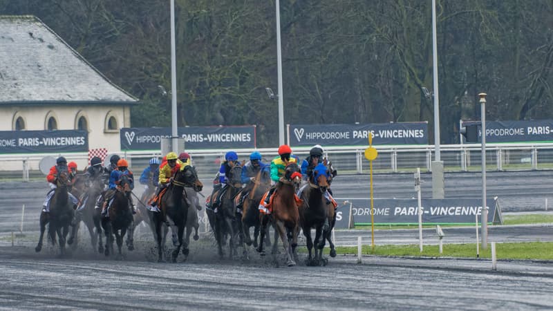 Le Prix de Cornulier se dispute ce dimanche à Vincennes