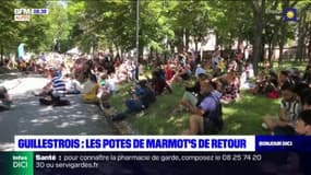 Guillestrois: le festival des Potes de Marmot's fait son retour 