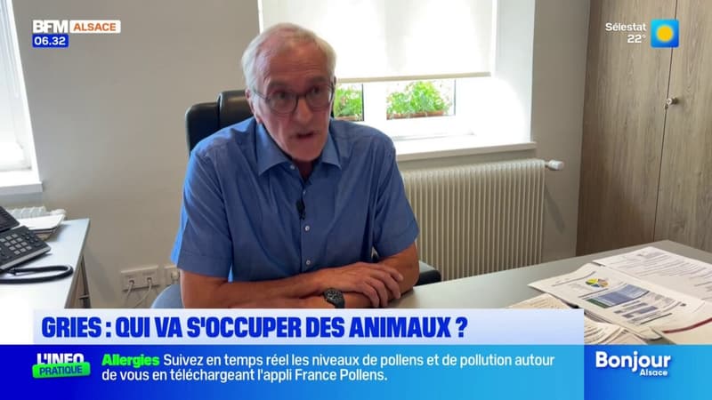 Gries: qui va s'occuper des animaux d'une ferme à l'abandon