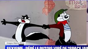 "Cancel culture", "Space Jam"... On vous explique comment "Pépé le Putois" se retrouve au coeur d'une polémique