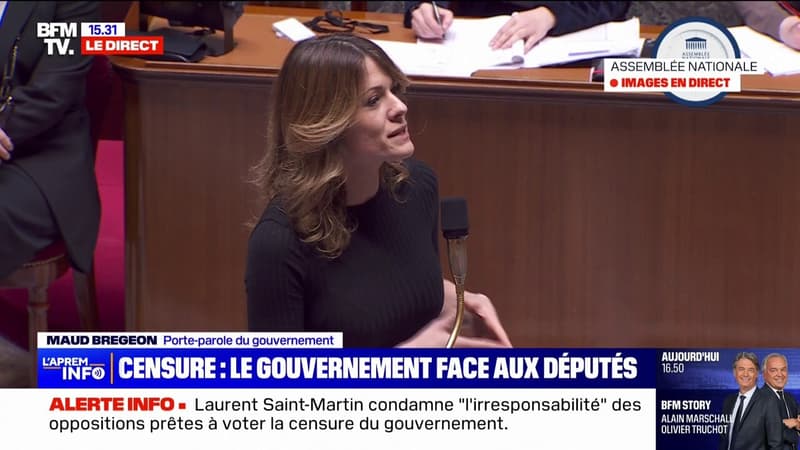 Maud Bregeon s'adressant aux députés PS: 