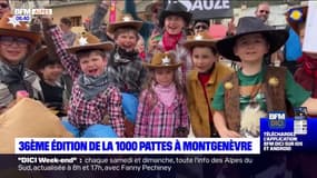 Montgenèvre: une 36e édition de la 1000 Pattes sous le signe de la fête