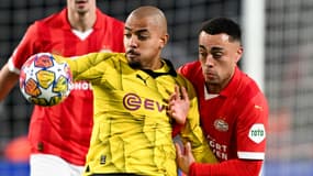 Donyell Malen et Sergino Dest lors du match entre le PSV et Dortmund en Ligue des champions, le 20 février 2024