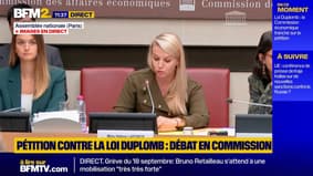 "Un signal démocratique fort, nous ne pouvons ni l'ignorer, ni le minimiser": débat en commission parlementaire sur la pétition contre la loi Duplomb