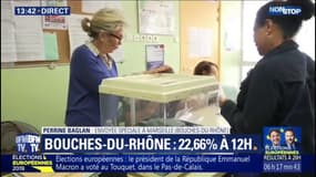 Européennes: les Bouches-du-Rhône très mobilisées, avec 22,66% de participation à midi